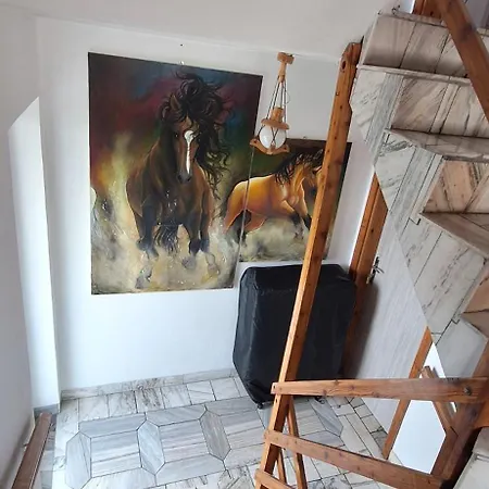 Felmaro